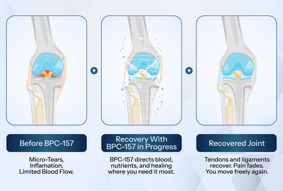 bpc 157 for muscle recovery