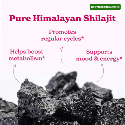 pure Honey Shilajit