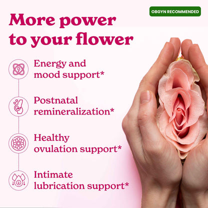 shilajit honey packs benefits